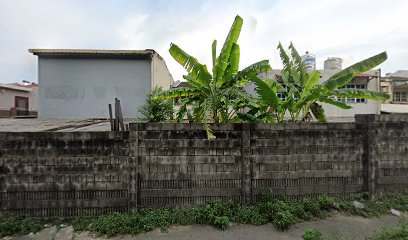 Tit da 邱跌打
