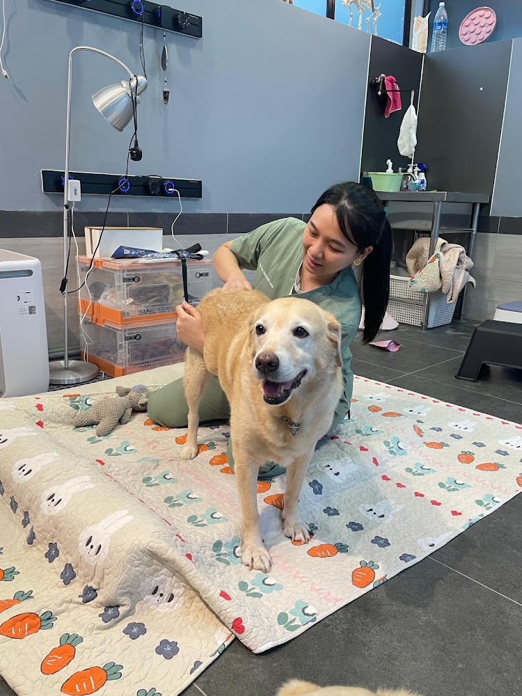 Zene Animal and Human Chiropractic Centre